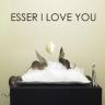 A thumbnail of the cover image of I Love You by Esser